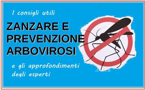 Proteggersi dalle malattie trasmesse da zanzare e altri insetti: consigli utili e piano di intervento pubblico