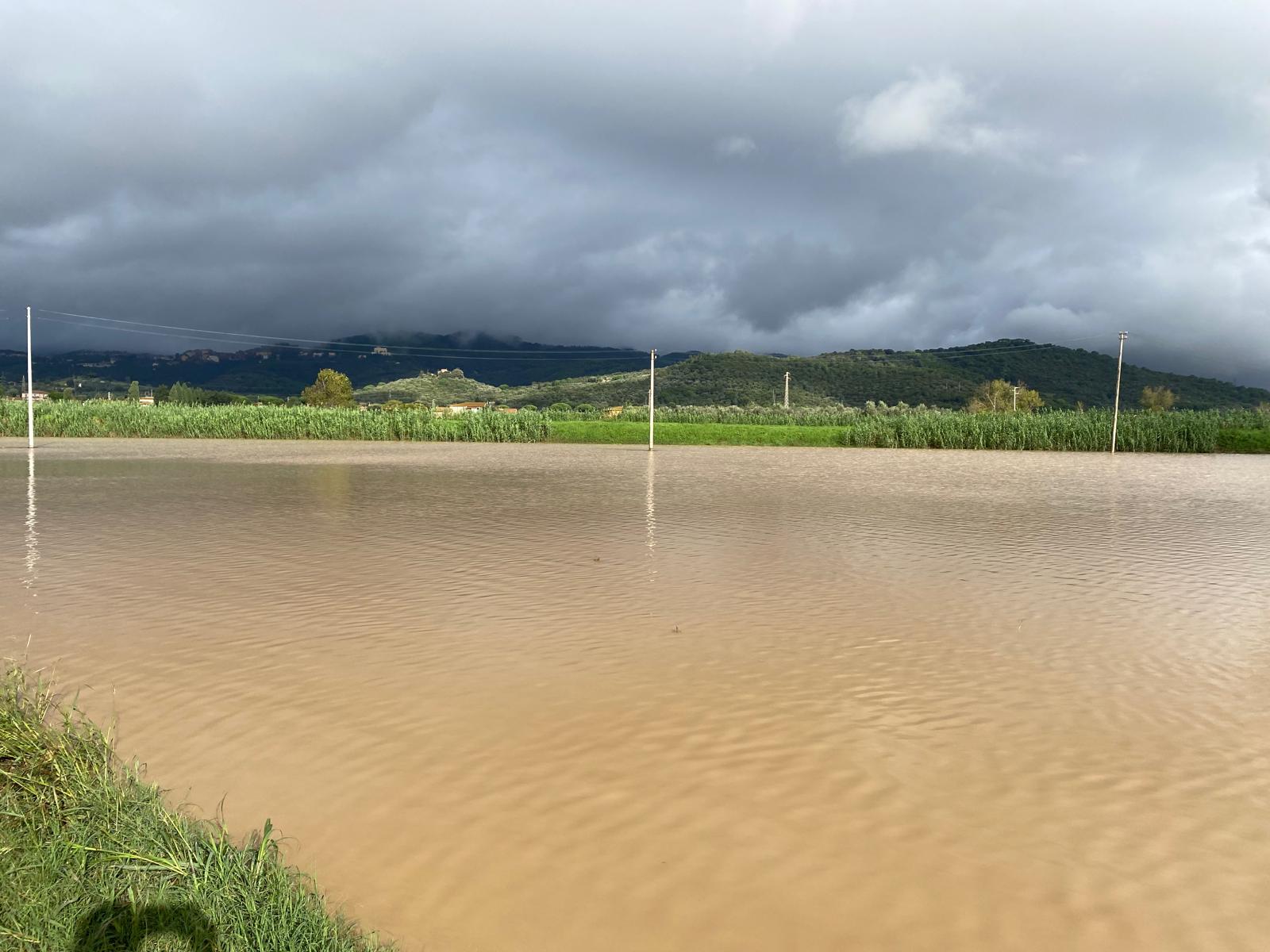 Protezione civile e sicurezza